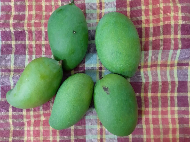 Raw mangoes